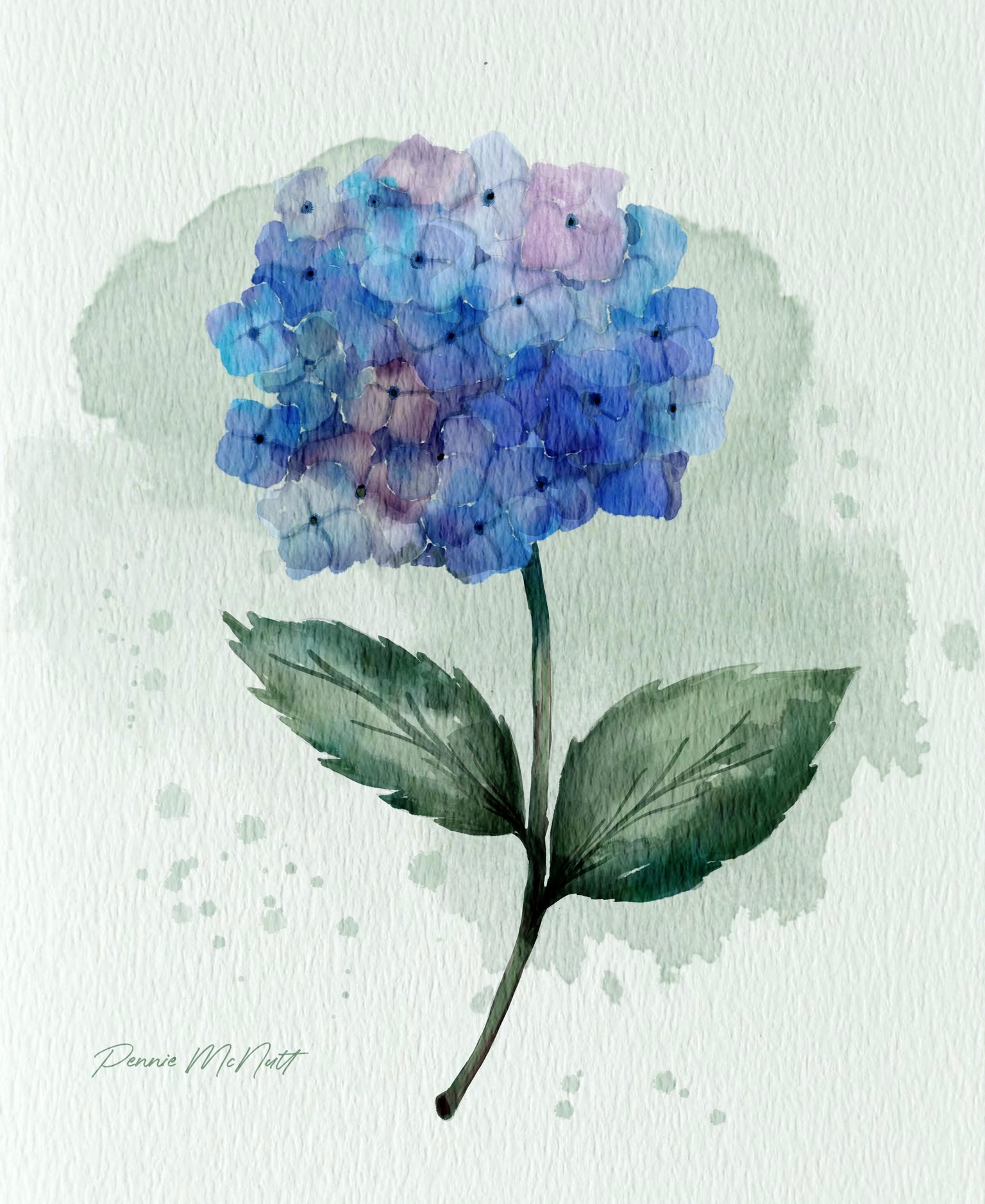 Hydrangea - image 1 - student project