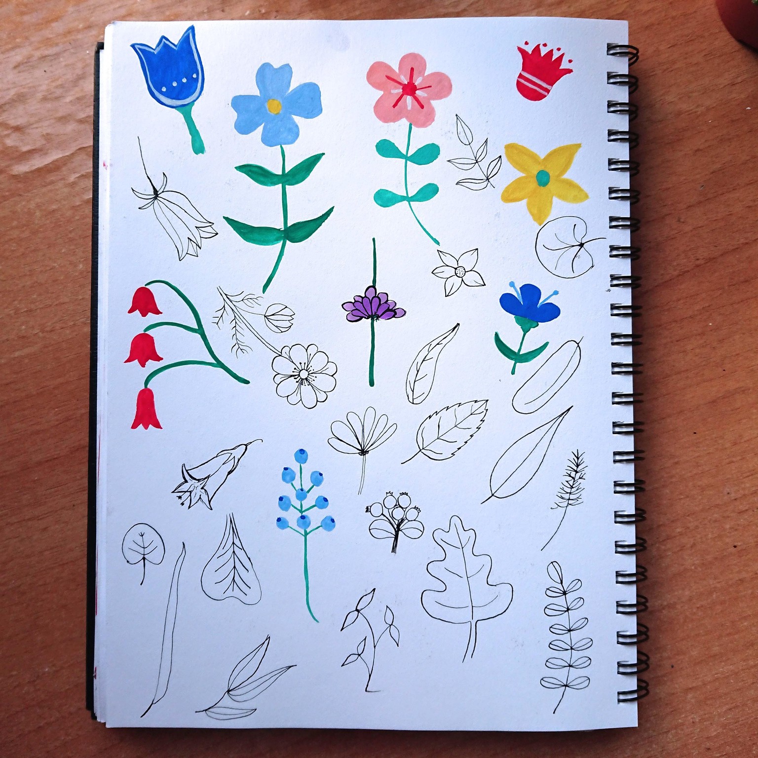 My flower meadow - image 3 - student project