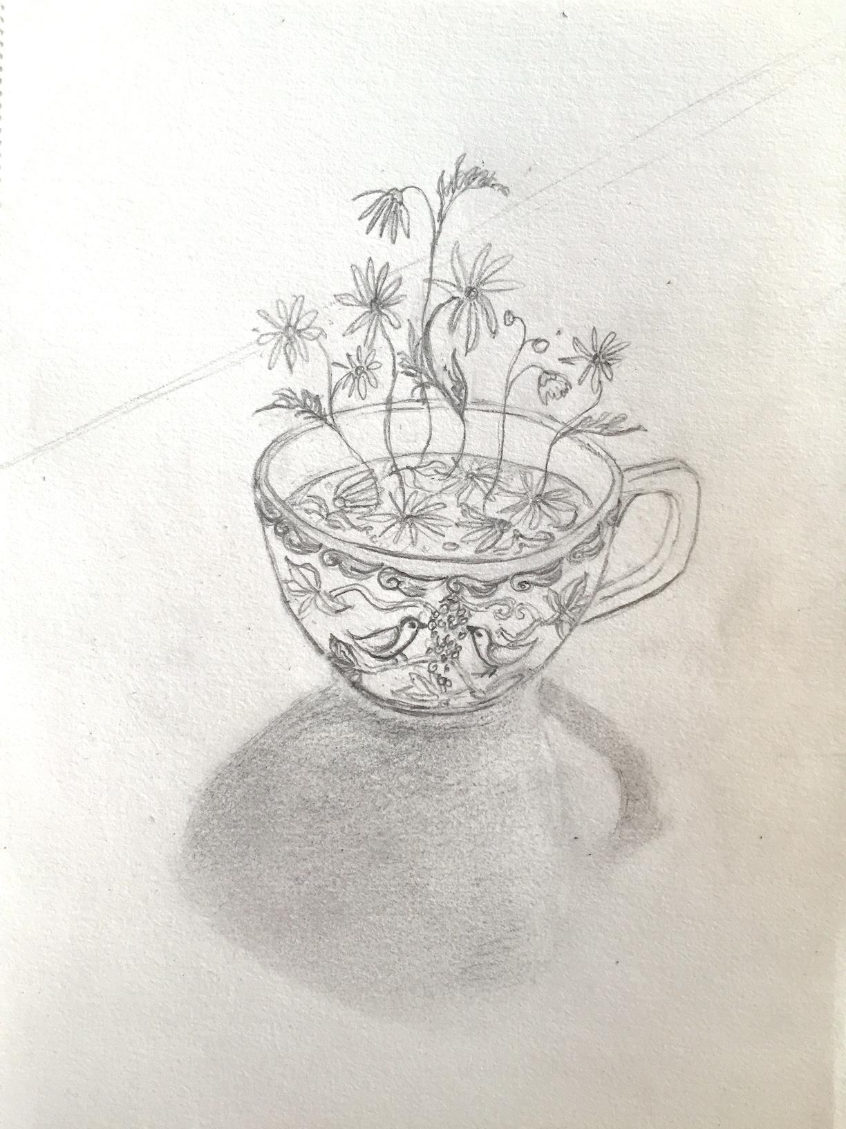 My November 30-Day Sketch-A-Day Challenge - image 18 - student project