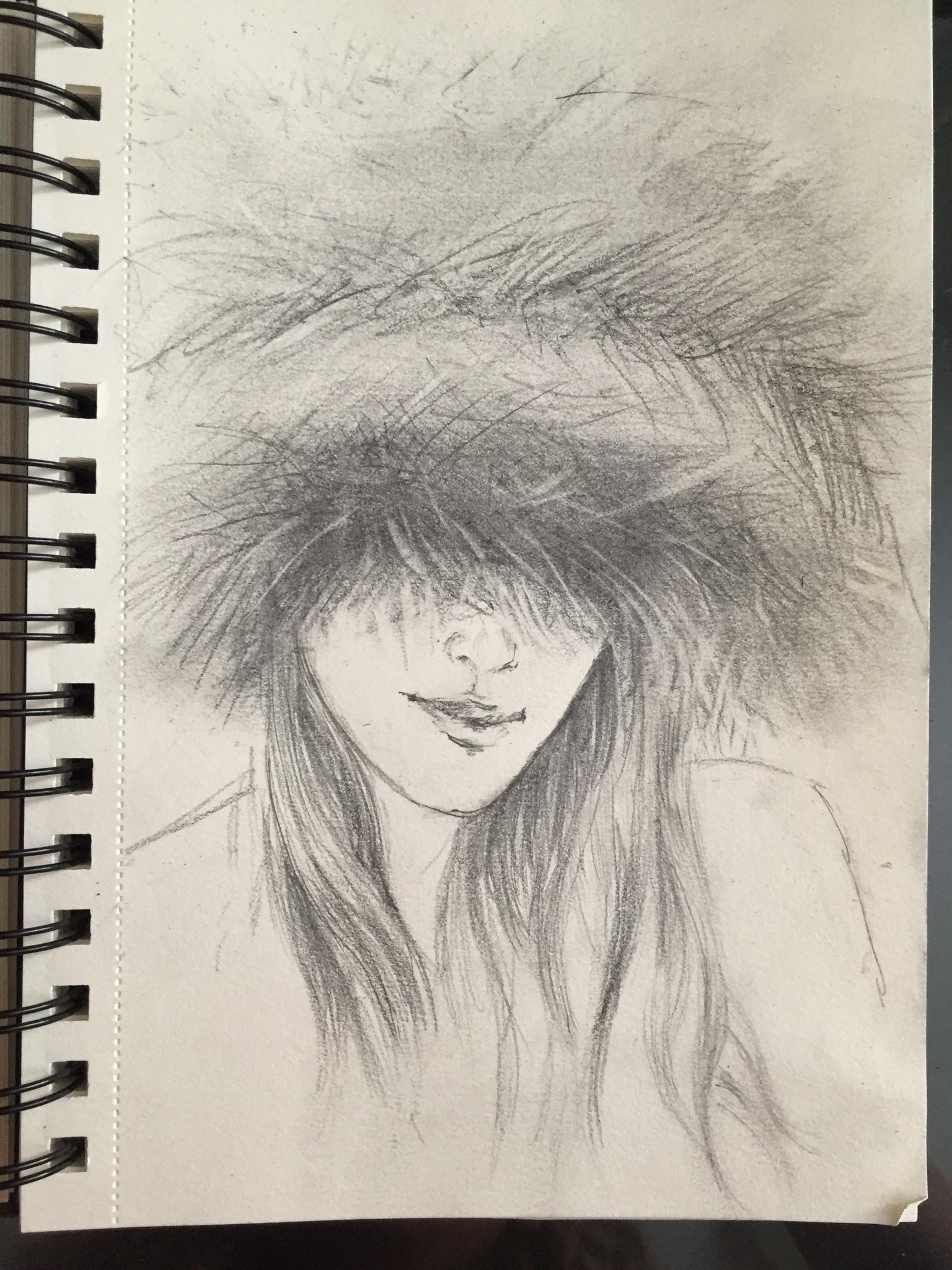 My November 30-Day Sketch-A-Day Challenge - image 36 - student project