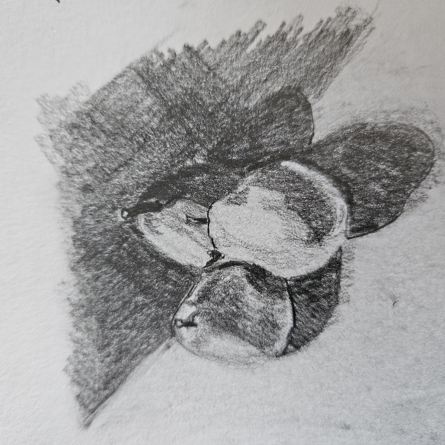 Completed! Thank you Paul! - image 20 - student project