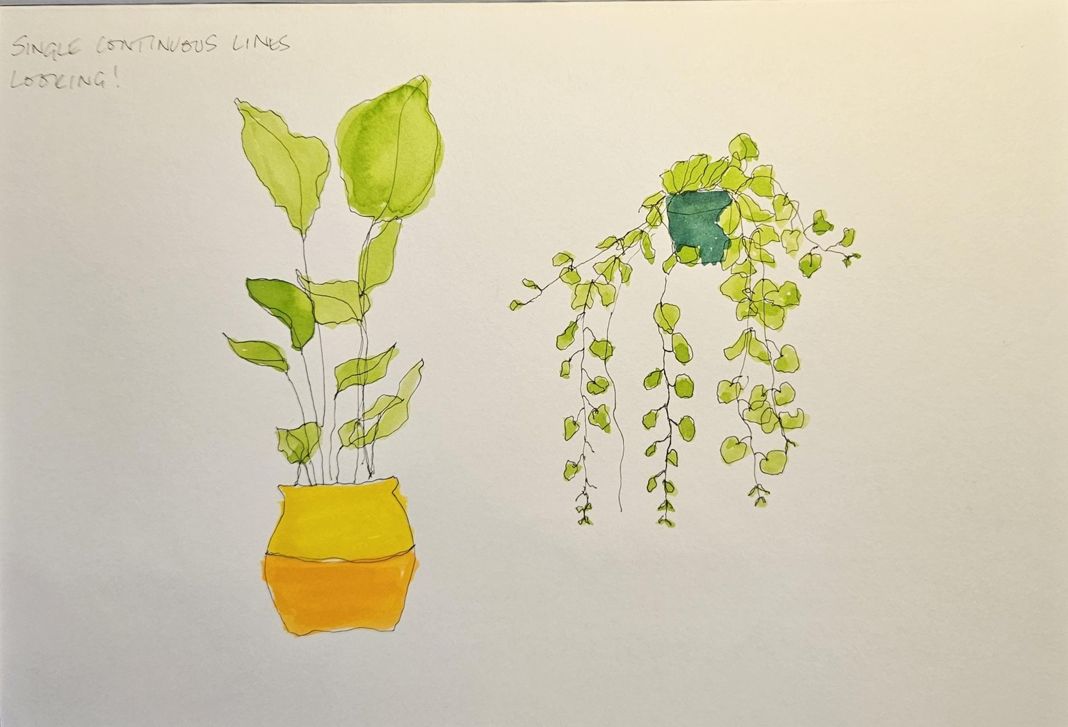 Continuous line - kinda blind! - image 1 - student project