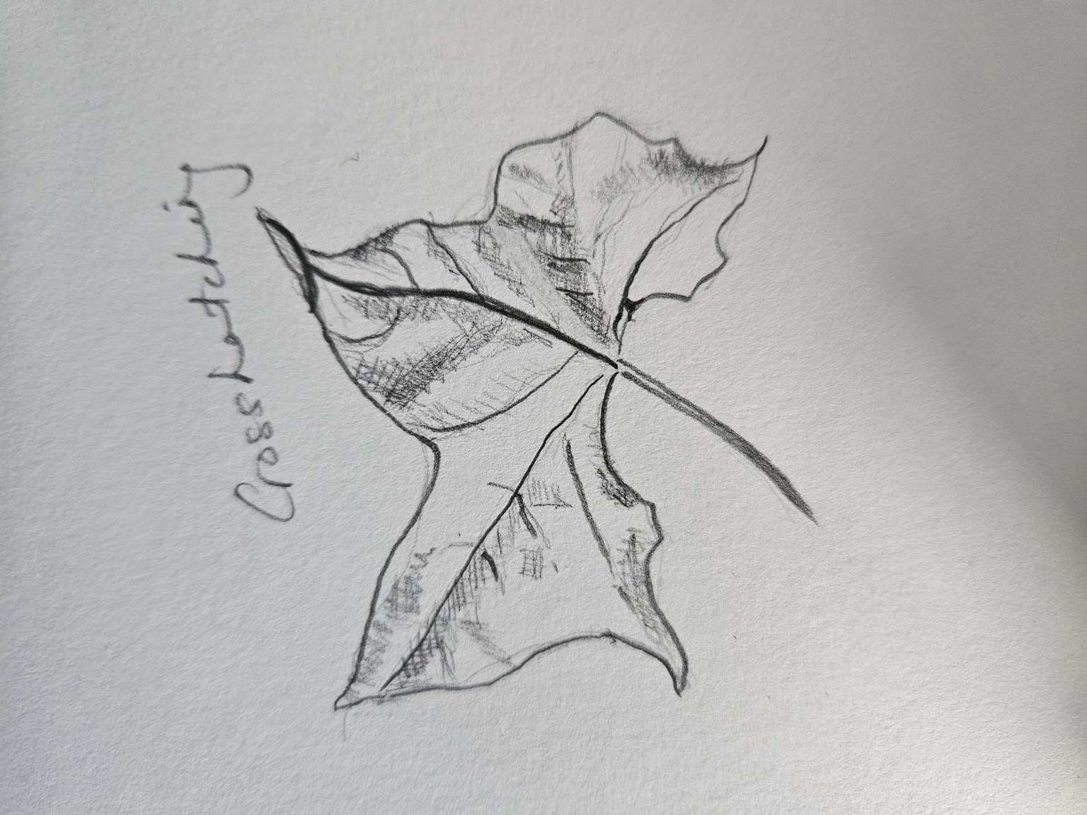 Completed! Thank you Paul! - image 19 - student project