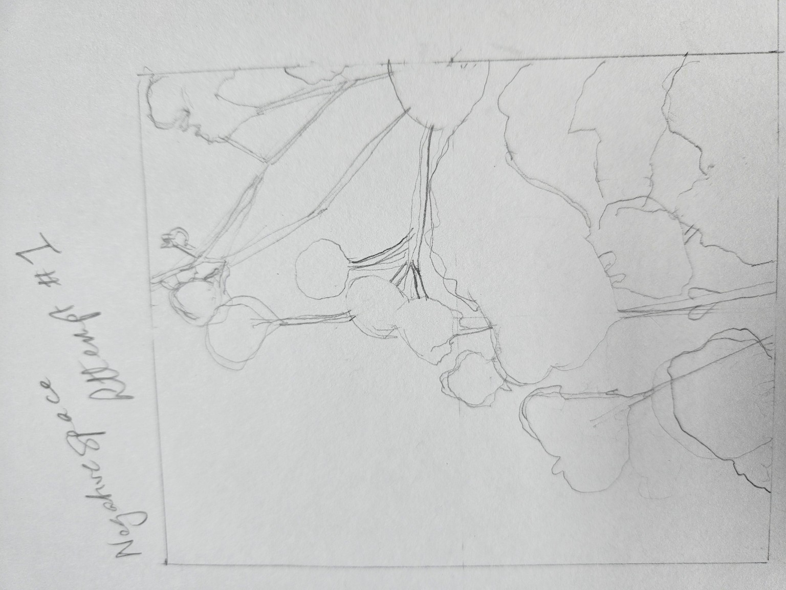 Completed! Thank you Paul! - image 9 - student project