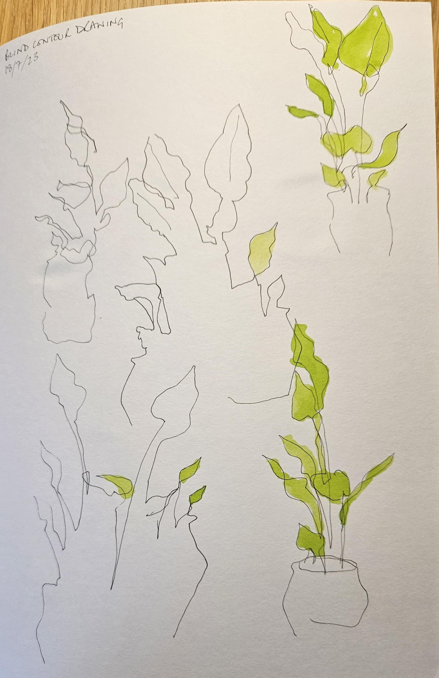 Continuous line - kinda blind! - image 3 - student project