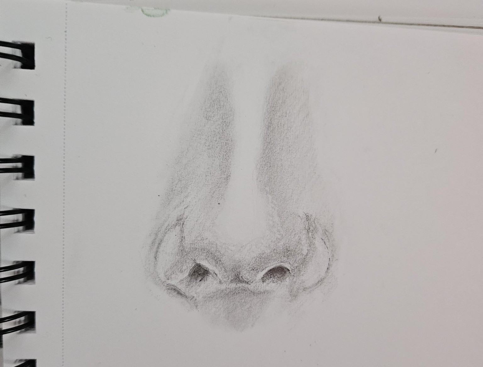 How to draw a realistic nose! - image 1 - student project