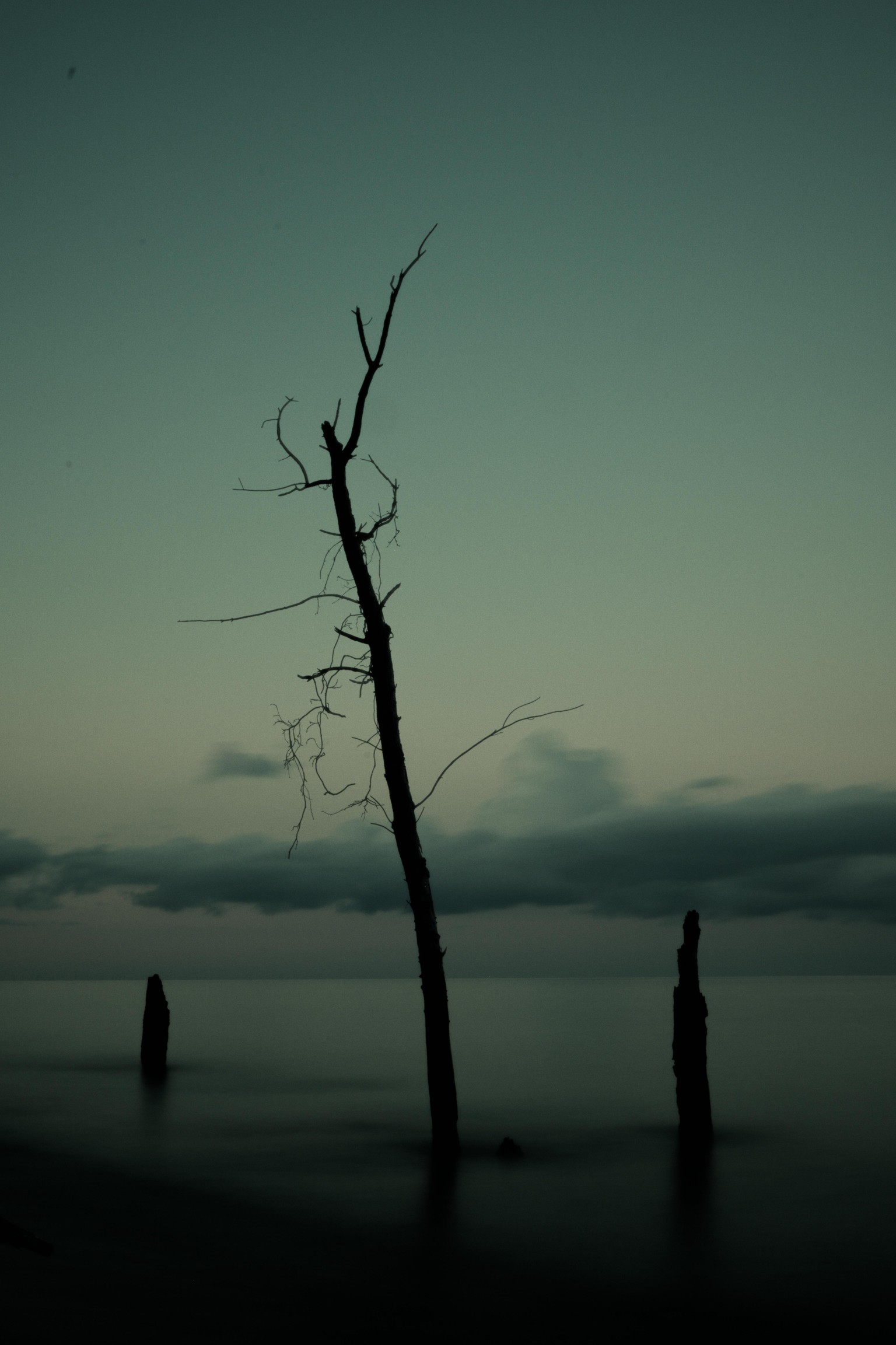 My edition - image 1 - student project