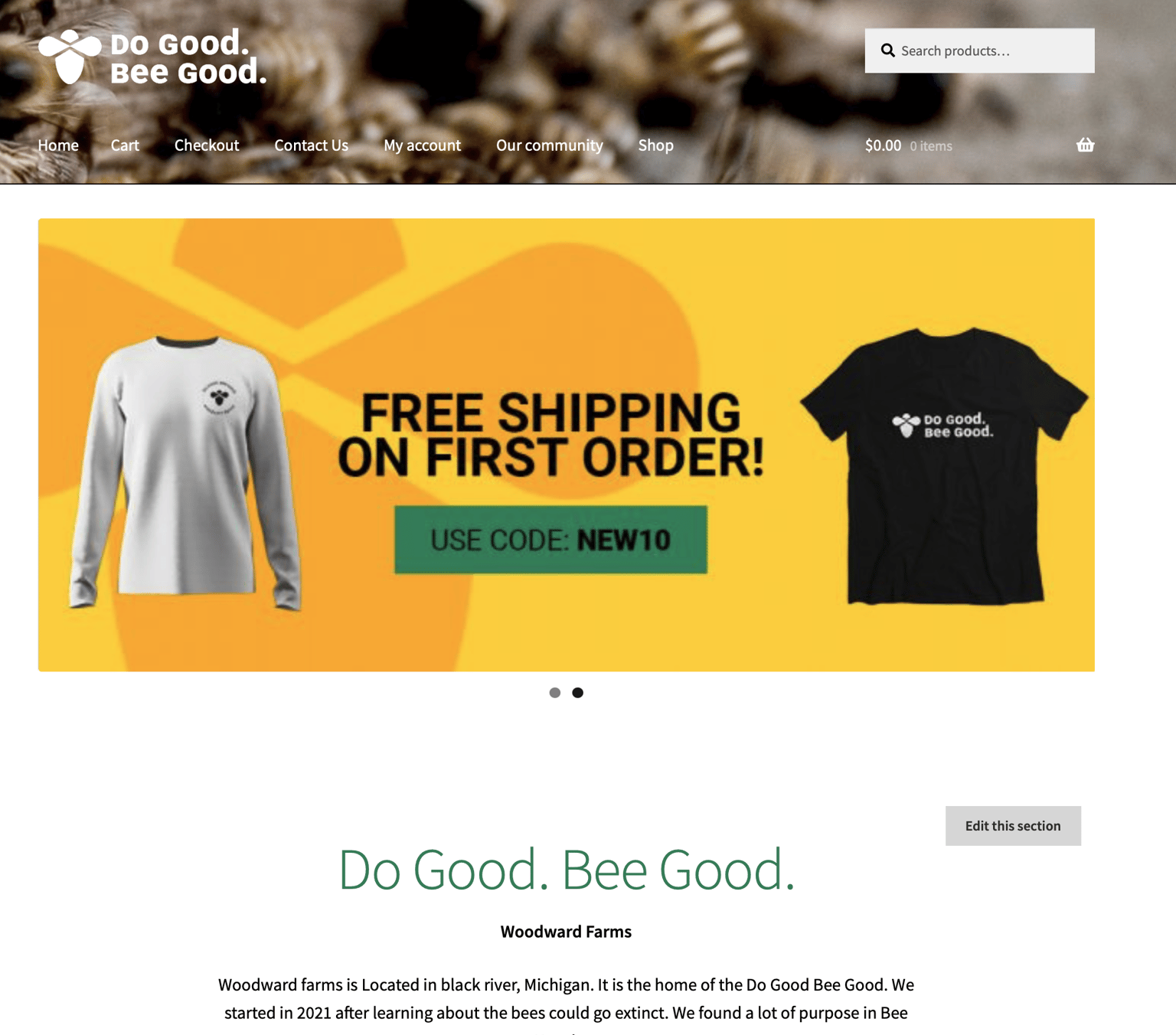 Wordpress - image 1 - student project