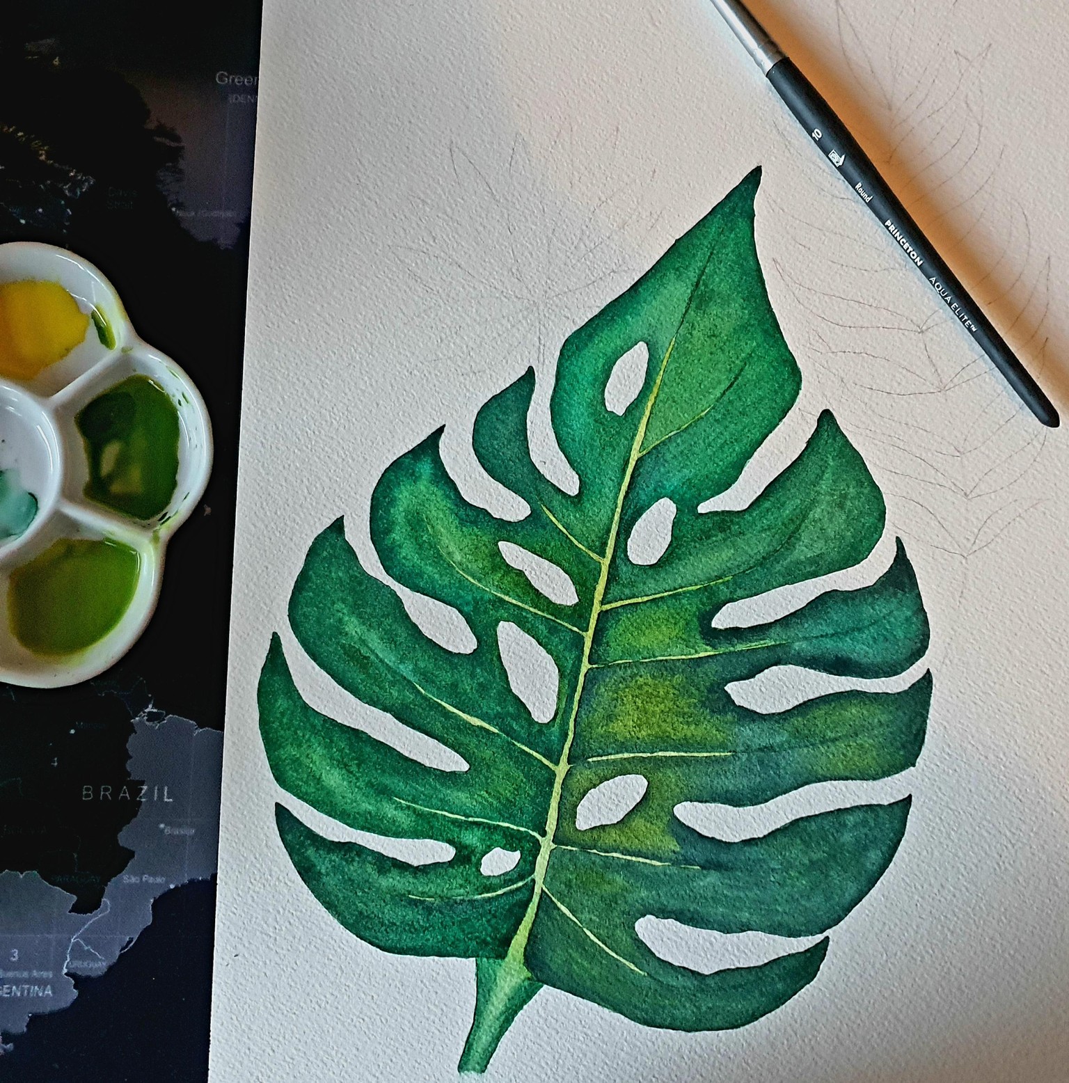 Monstera leaf - image 3 - student project