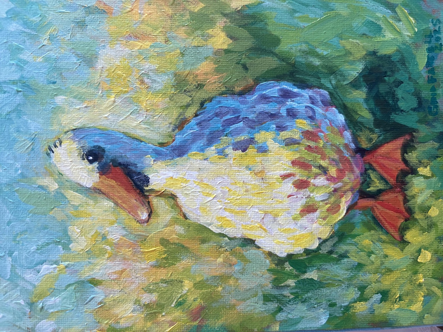 Dixie Duck - image 1 - student project
