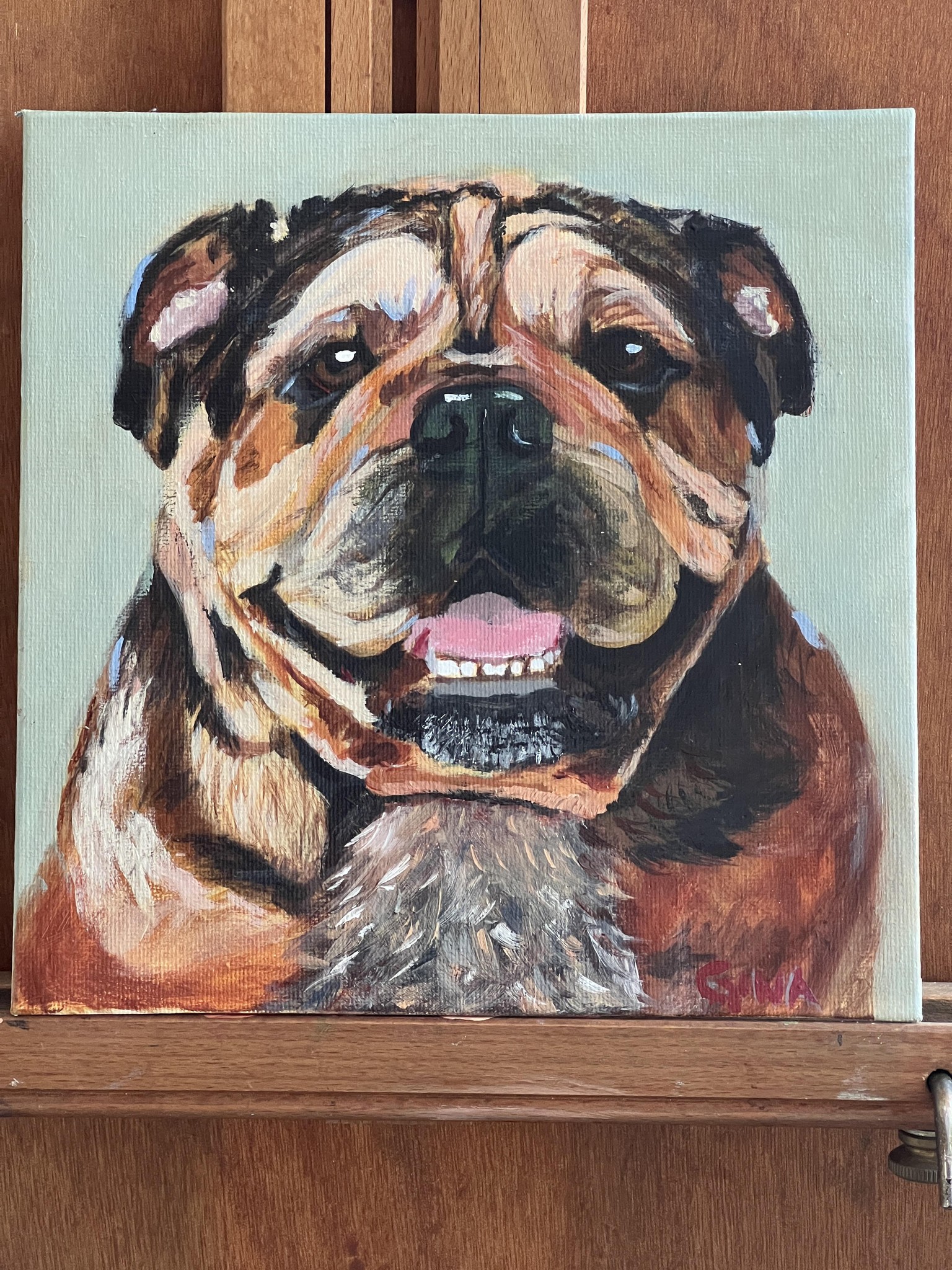 English Bulldog - image 1 - student project