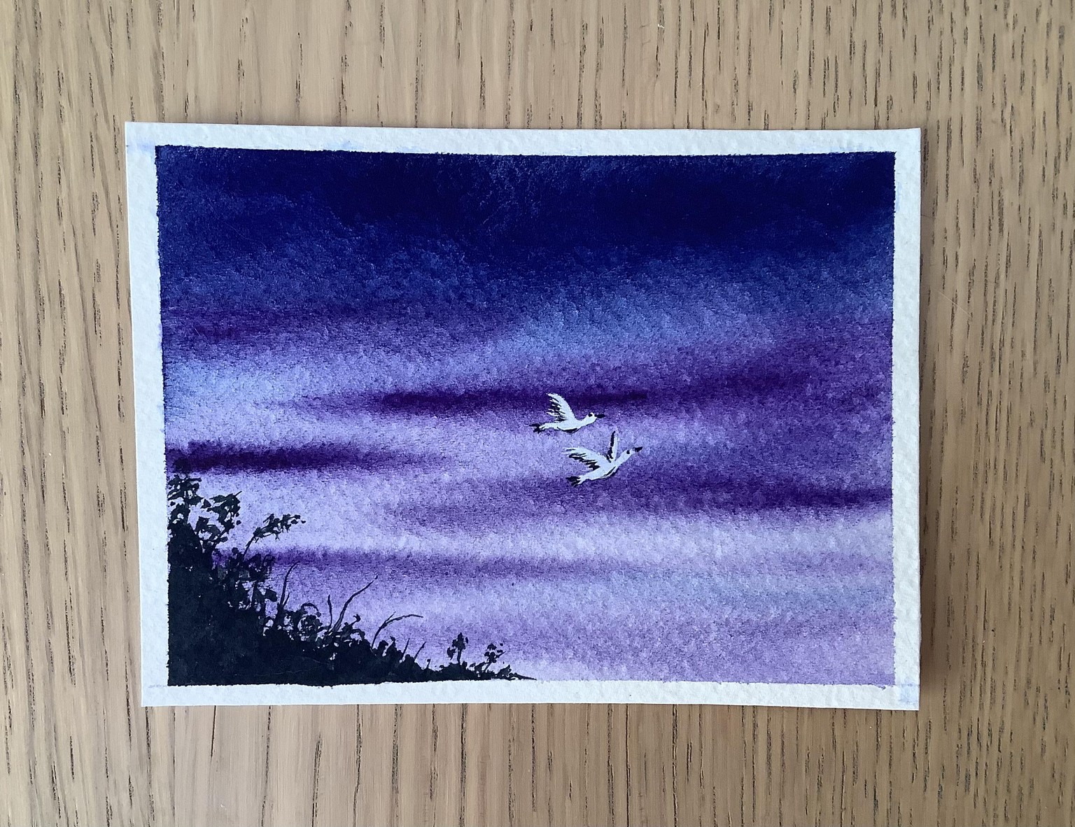 birds in the sky - image 14 - student project
