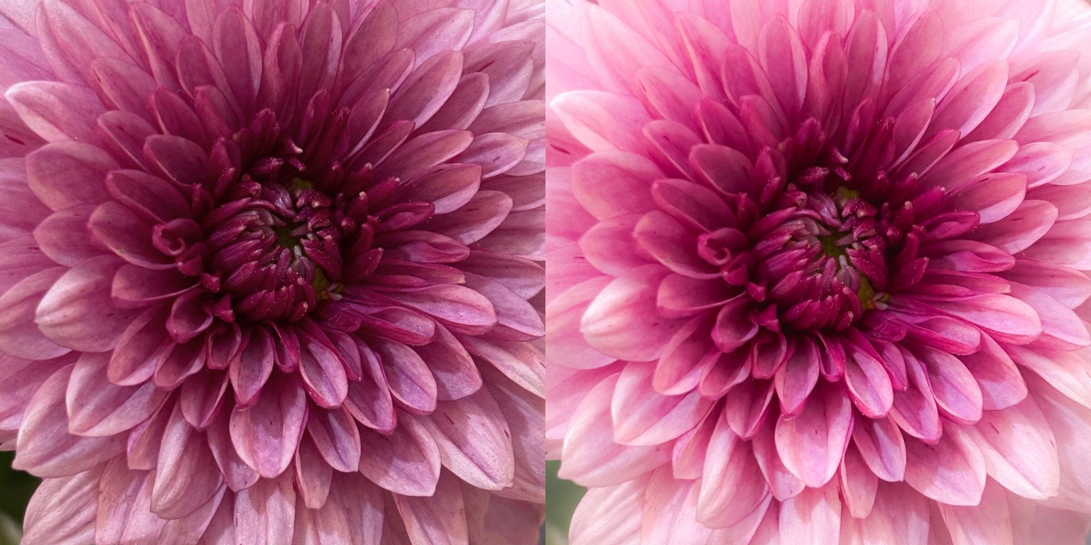 My Before & After Self-Portrait Using Only Lightroom Mobile - image 4 - student project