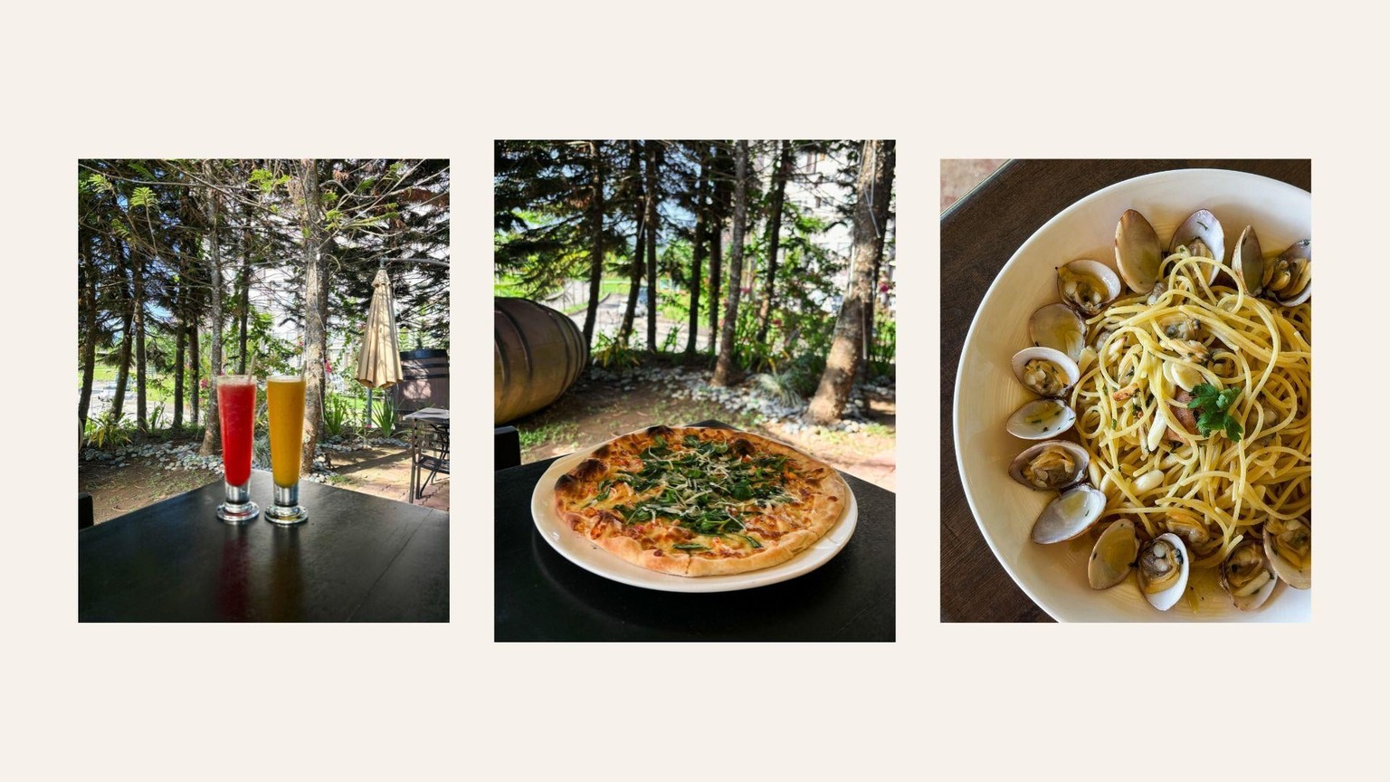 iPhone Food Photography Using Natural Light - image 4 - student project