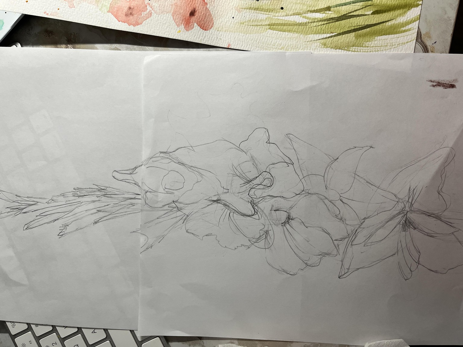 loose Gladiolas - image 1 - student project