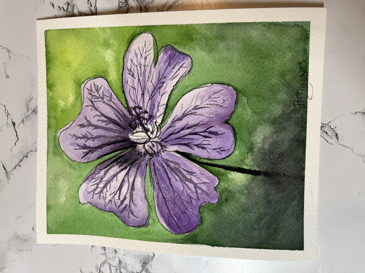 FloralScapes - image 1 - student project
