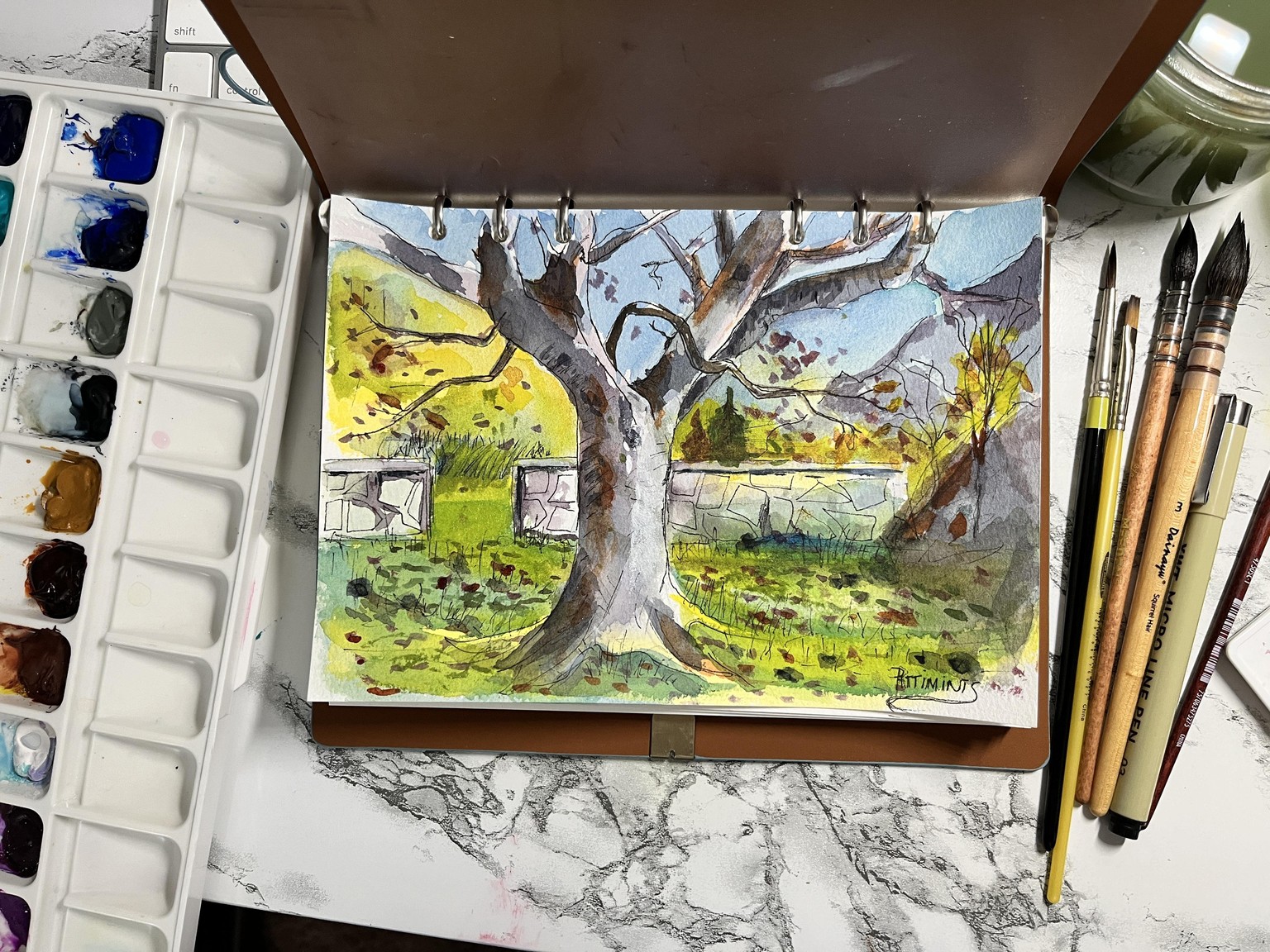 Maple Tree - image 2 - student project