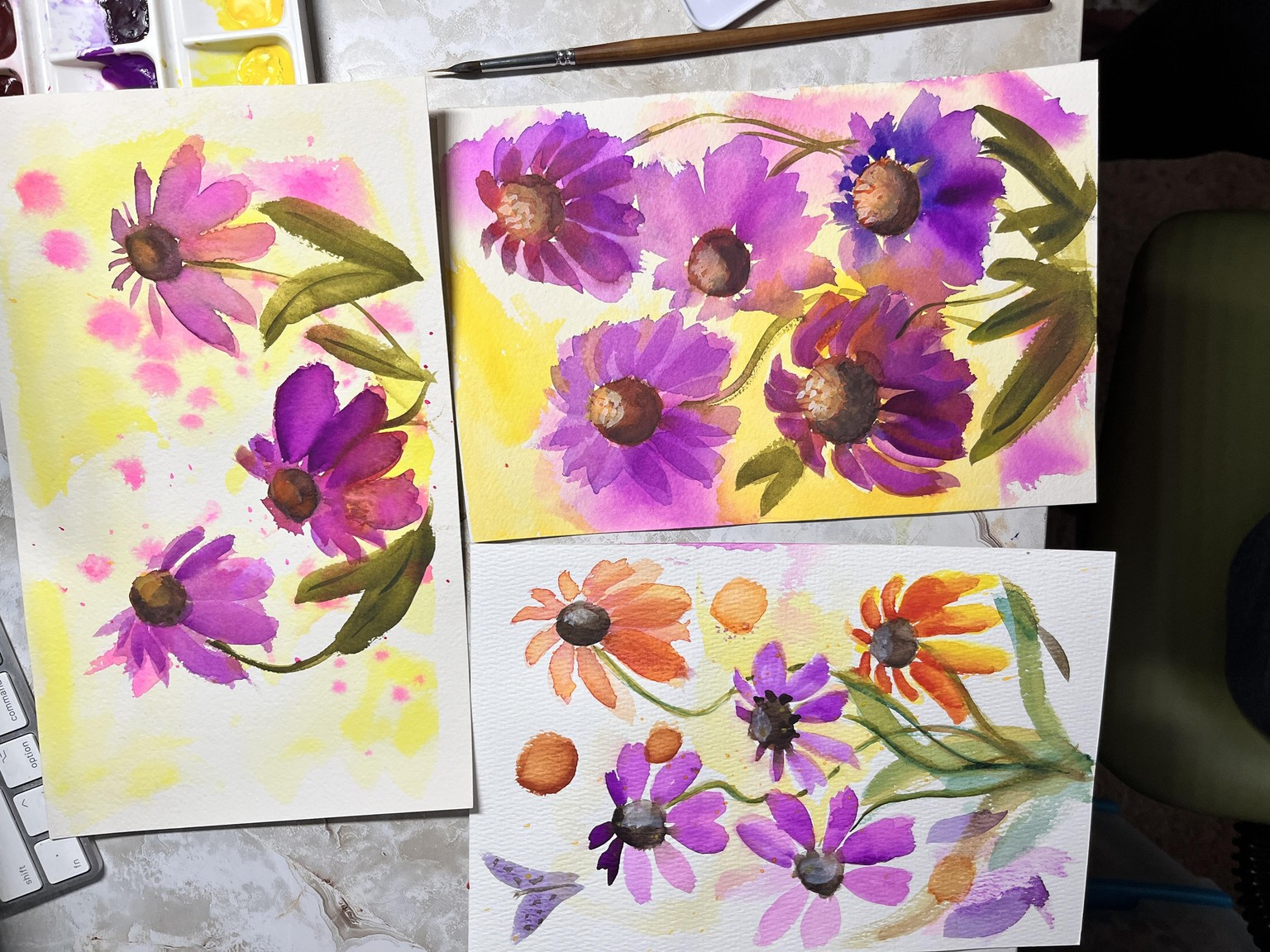 Coneflowers - image 2 - student project