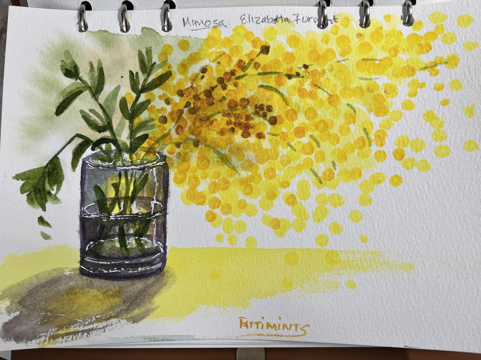 Mimosa - image 1 - student project
