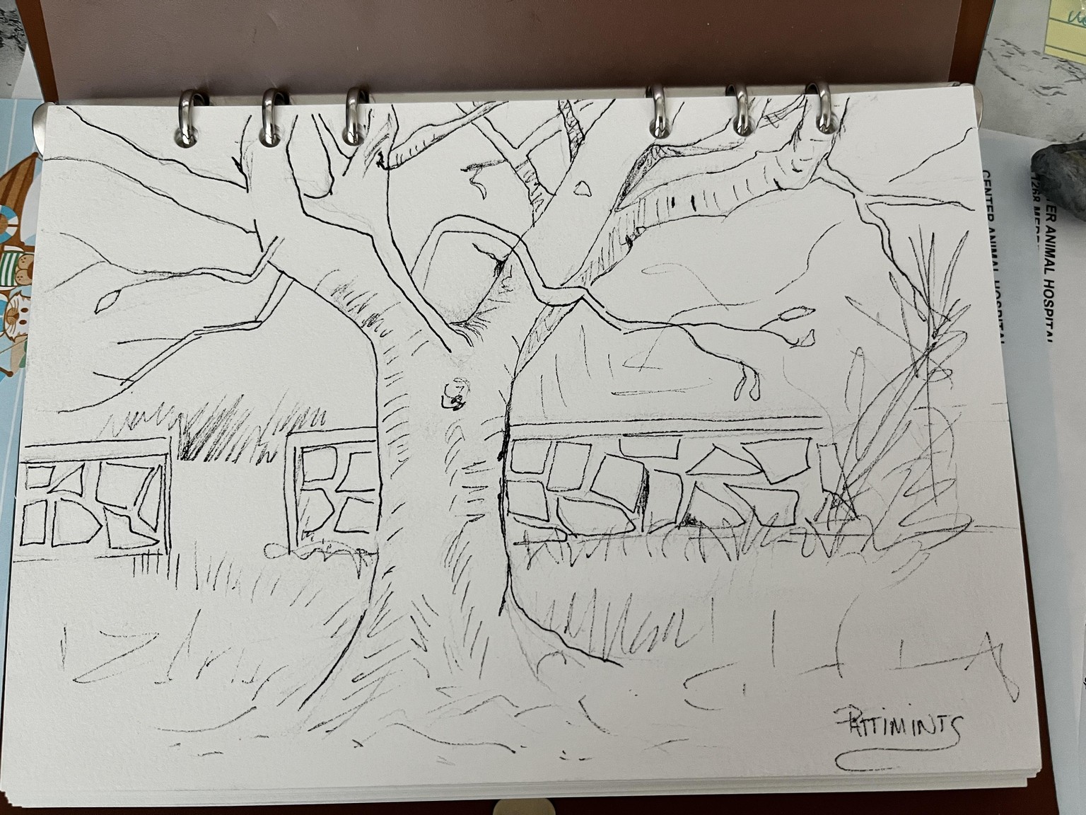 Maple Tree - image 3 - student project