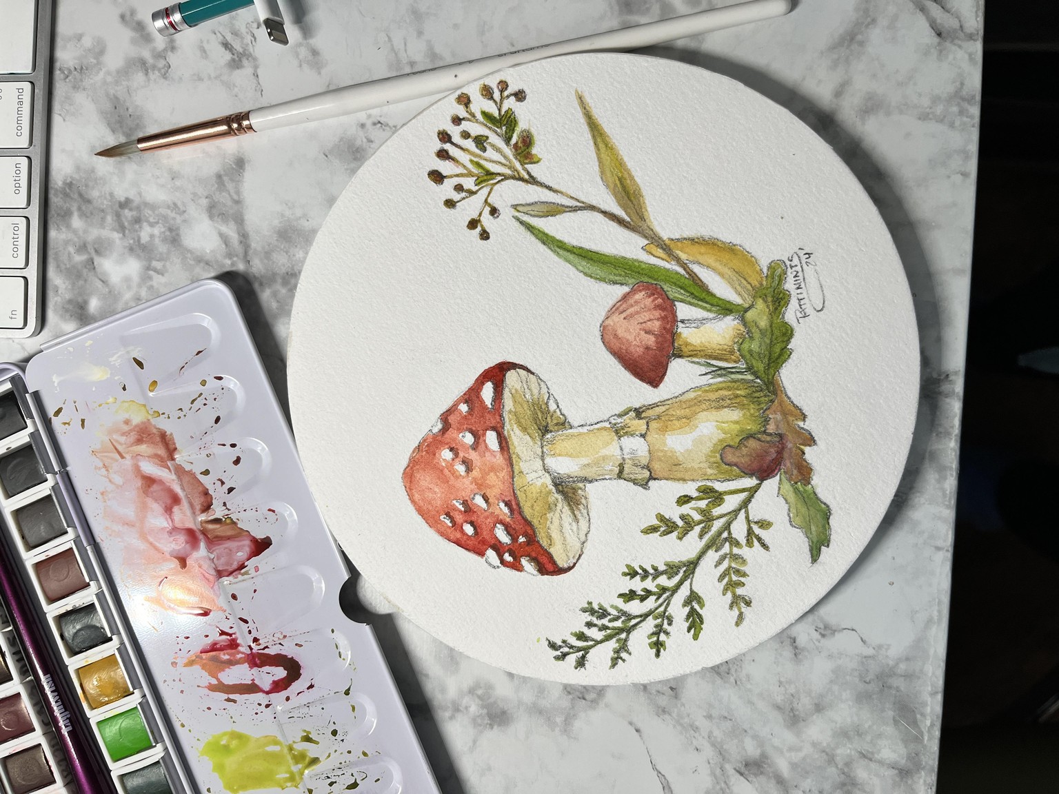 Woodland mushrooms-