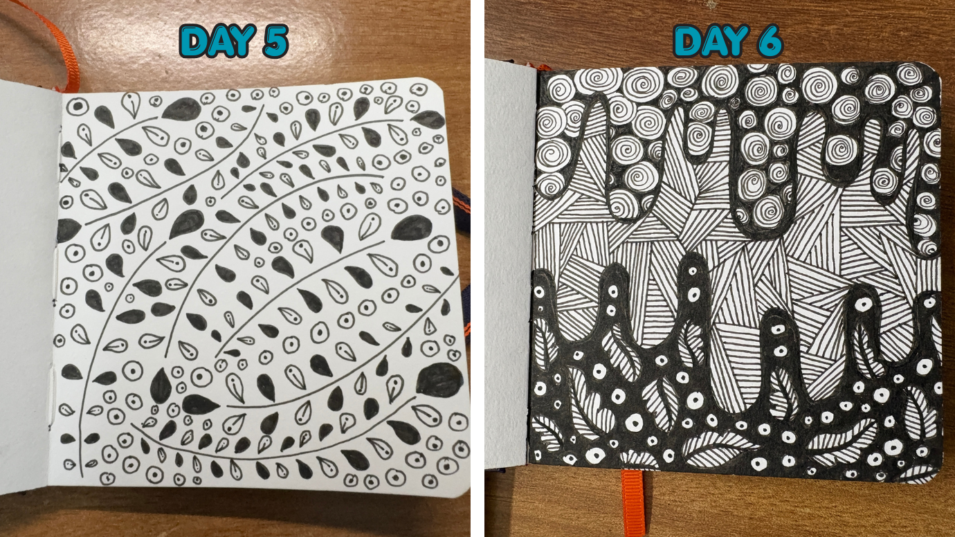 30 Day Challenge - DAY 1 to DAY 30 - image 13 - student project