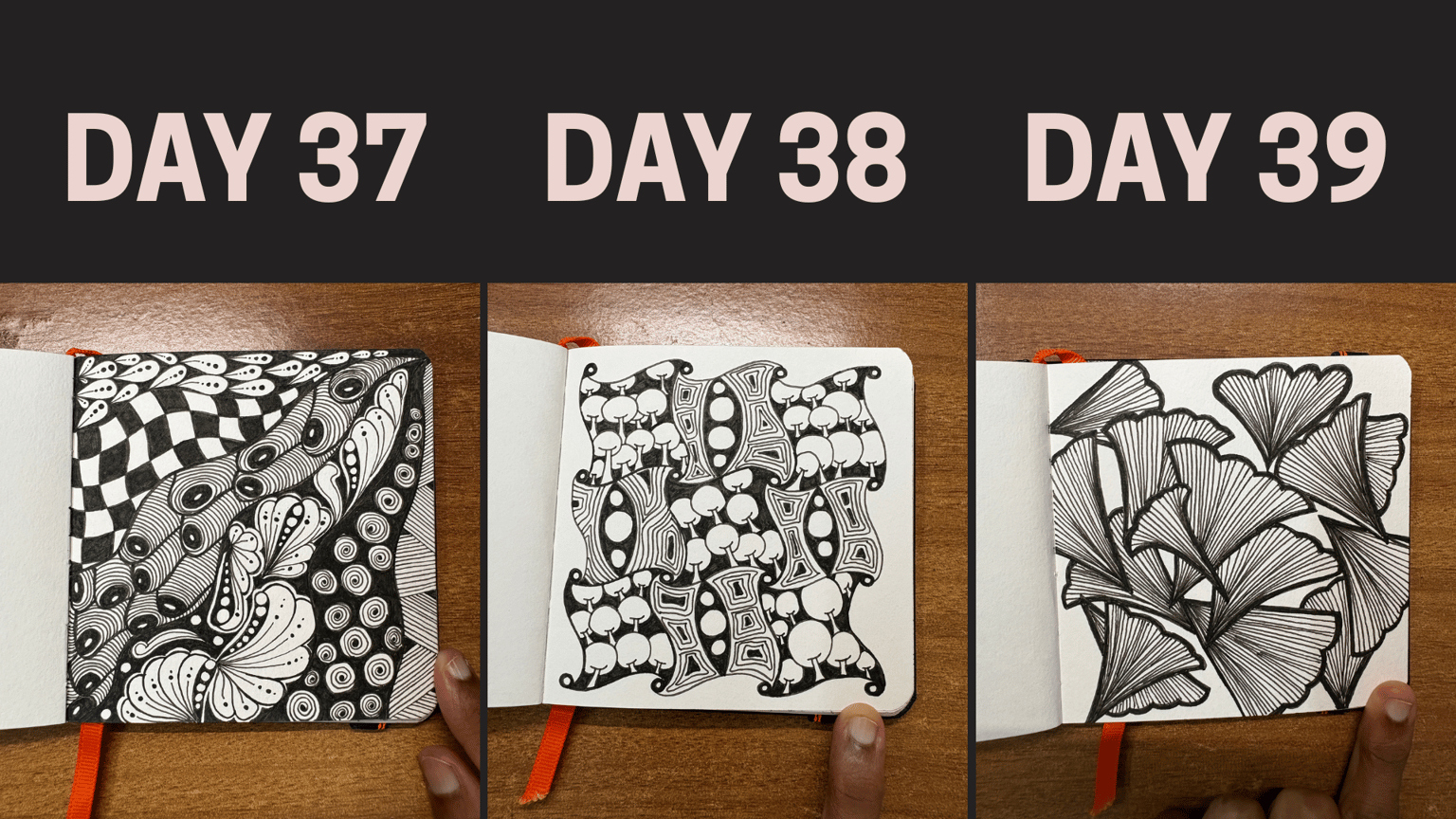 45 Zentangle Designs - image 3 - student project