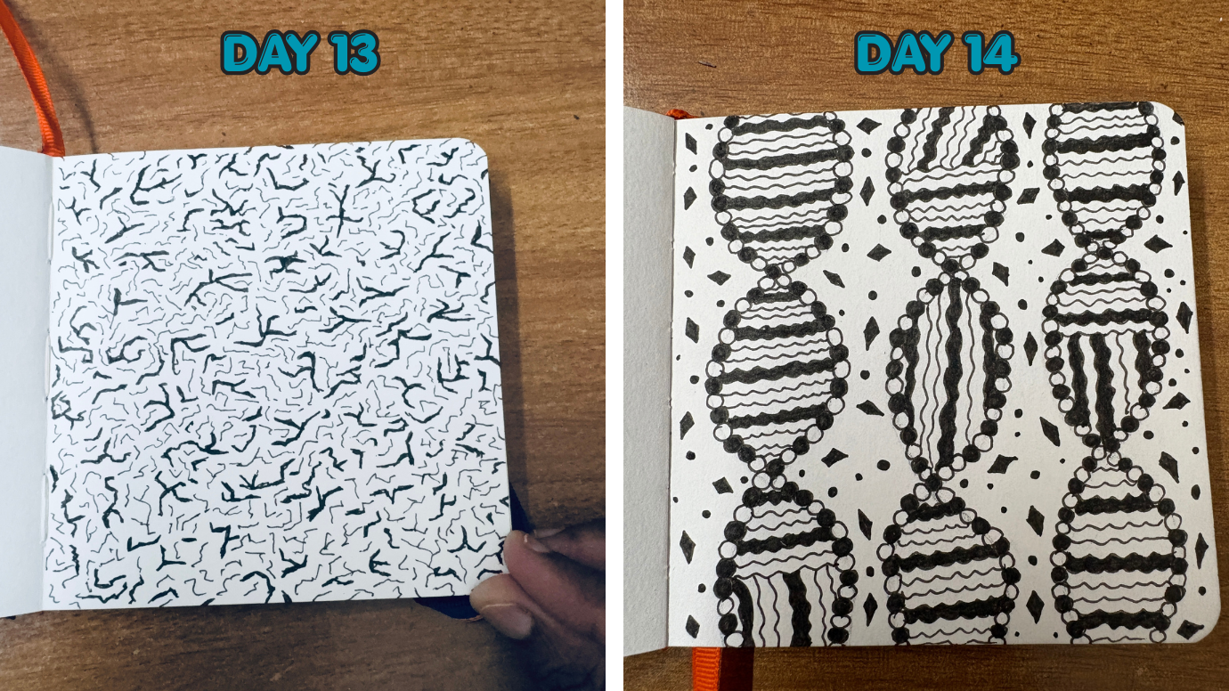 30 Day Challenge - DAY 1 to DAY 30 - image 9 - student project