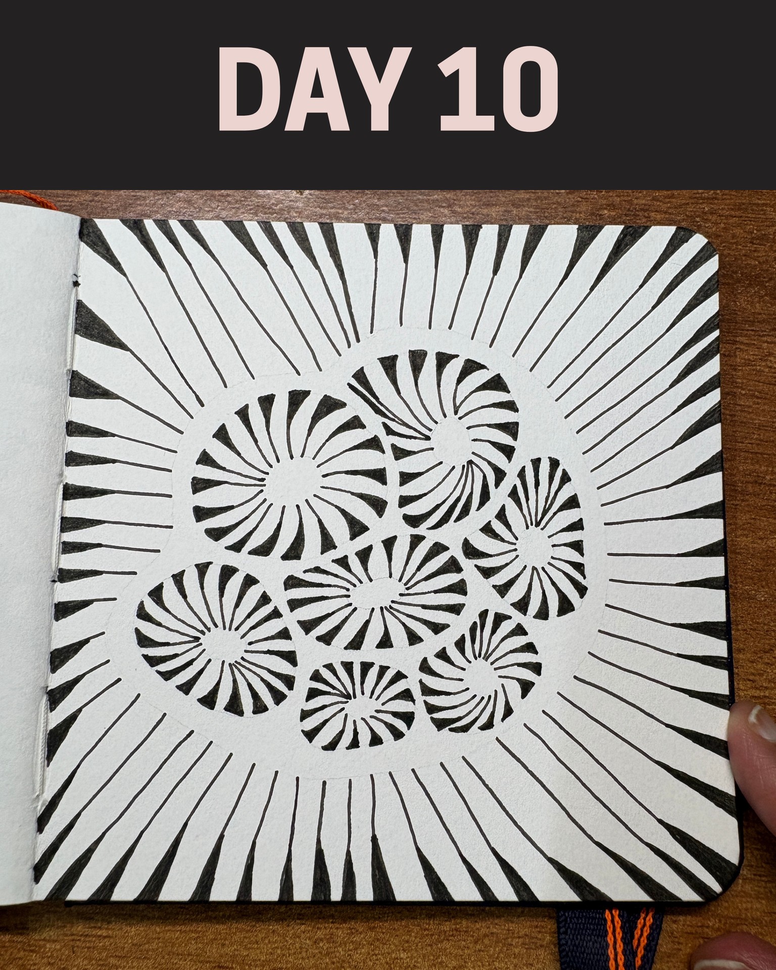 WIP - 45 Zentangle Designs - image 7 - student project