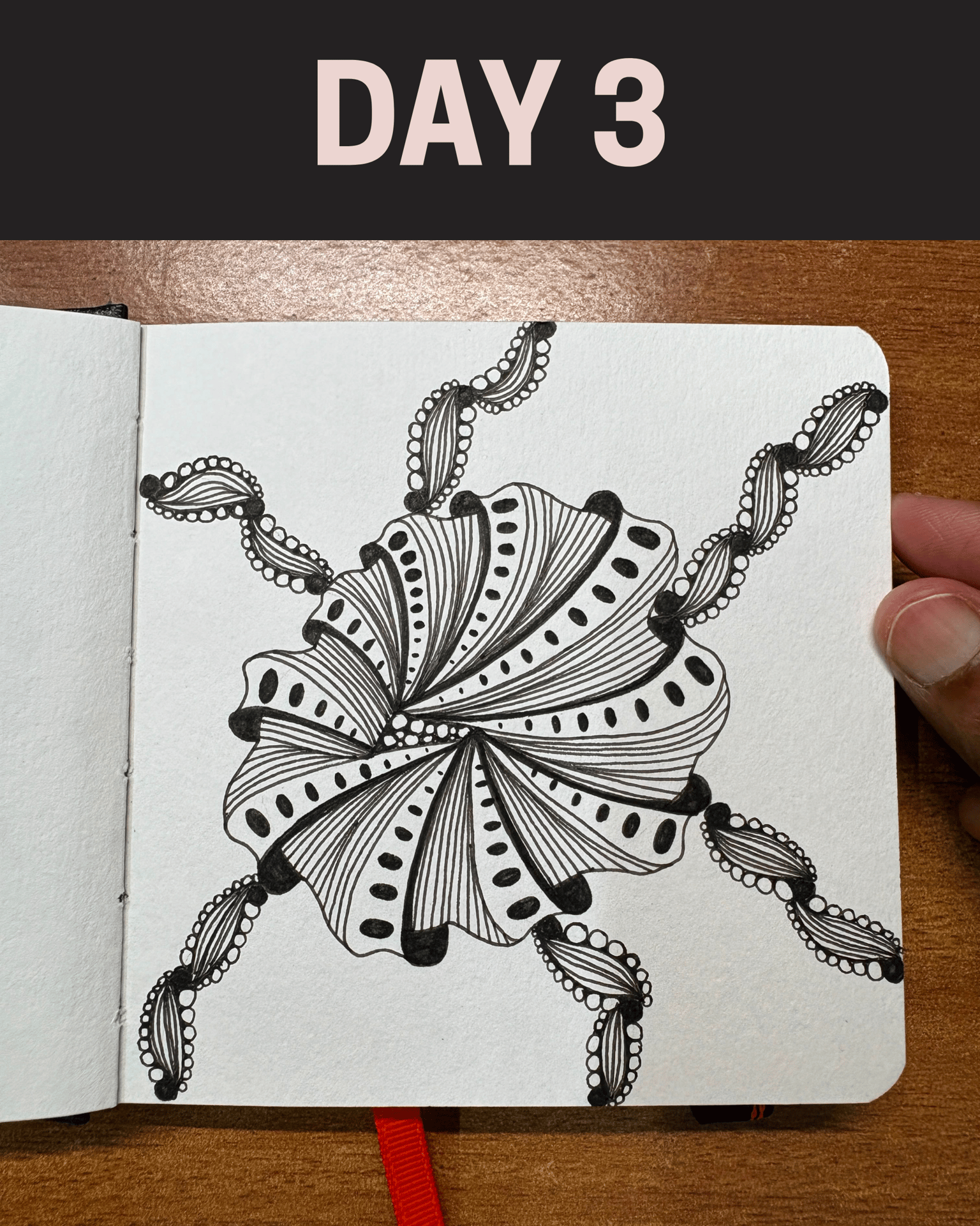 WIP - 45 Zentangle Designs - image 14 - student project