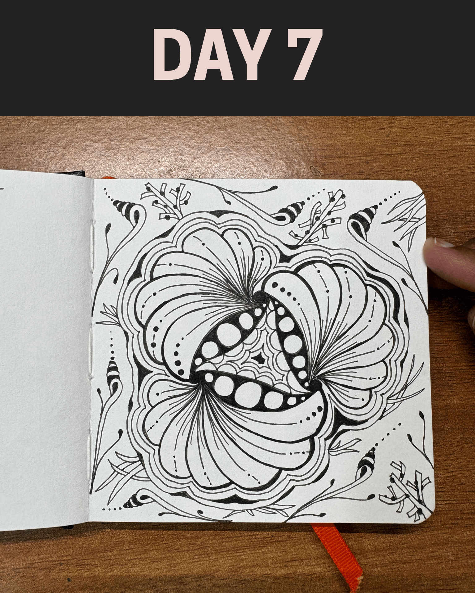 WIP - 45 Zentangle Designs - image 10 - student project