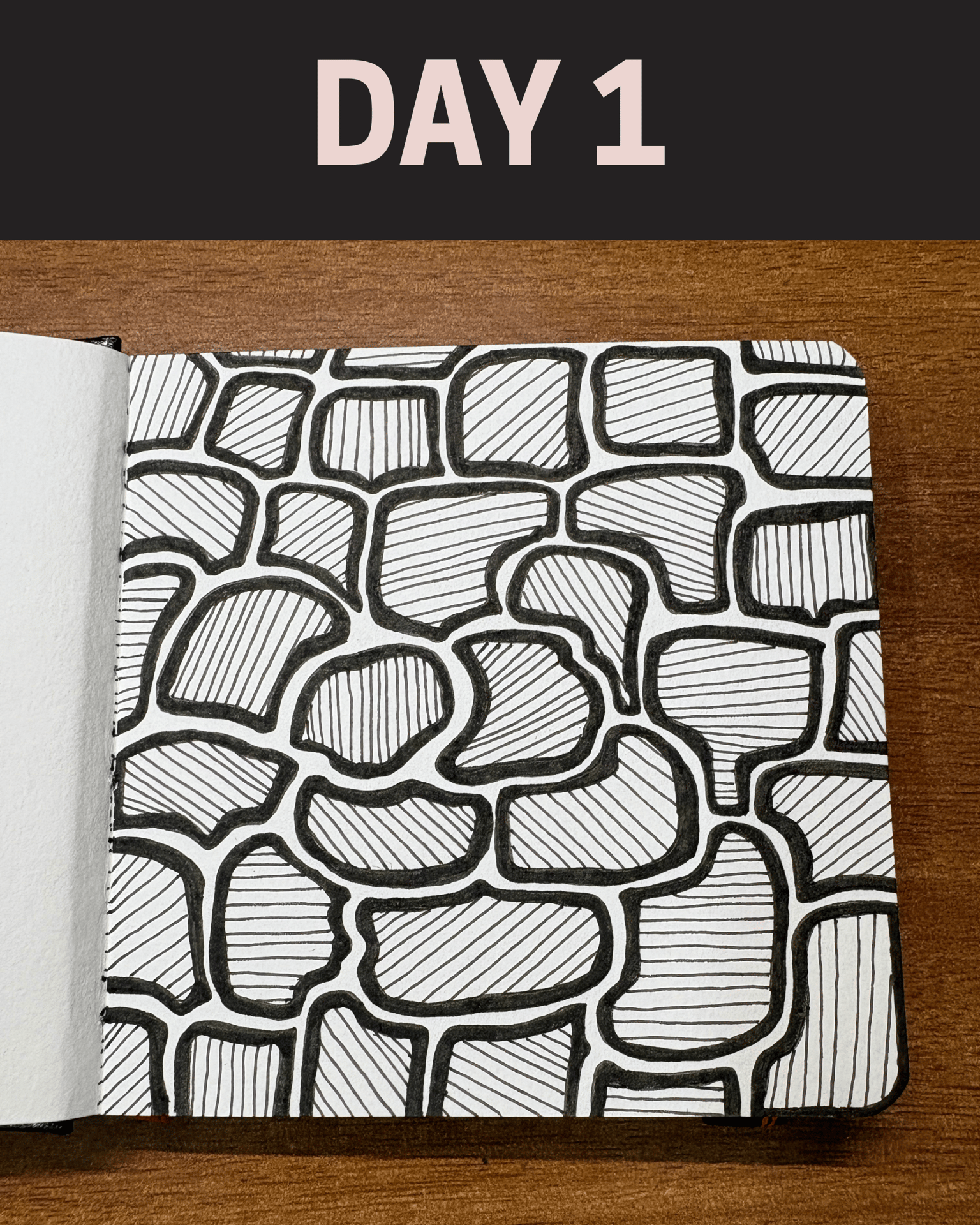 WIP - 45 Zentangle Designs - image 16 - student project