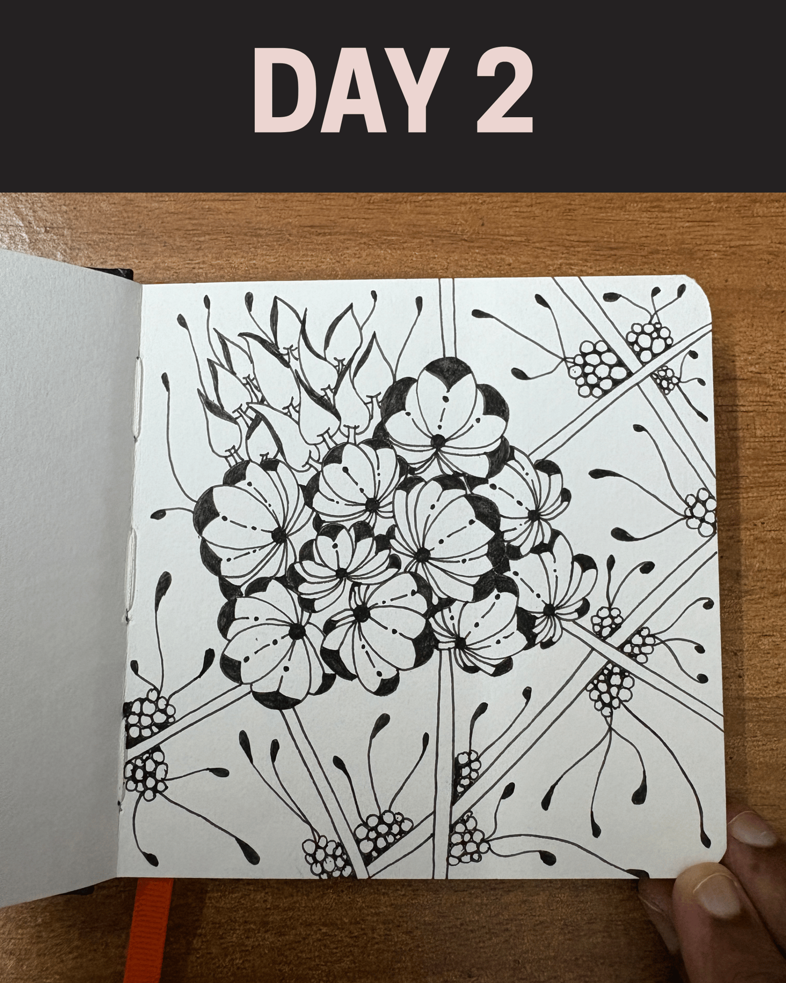 WIP - 45 Zentangle Designs - image 15 - student project
