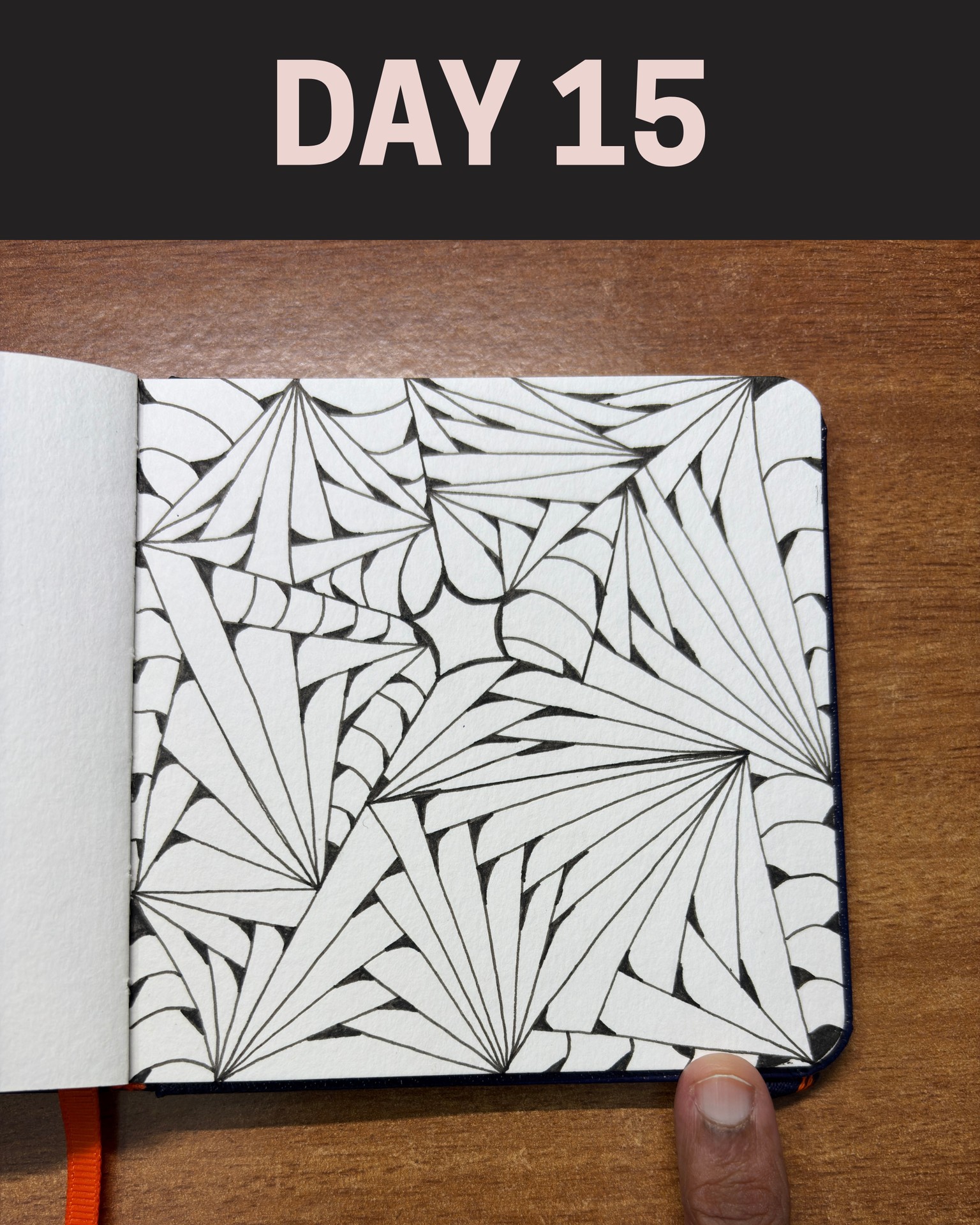 WIP - 45 Zentangle Designs - image 2 - student project