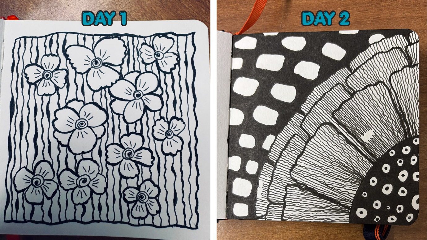 30 Day Challenge - DAY 1 to DAY 30 - image 15 - student project