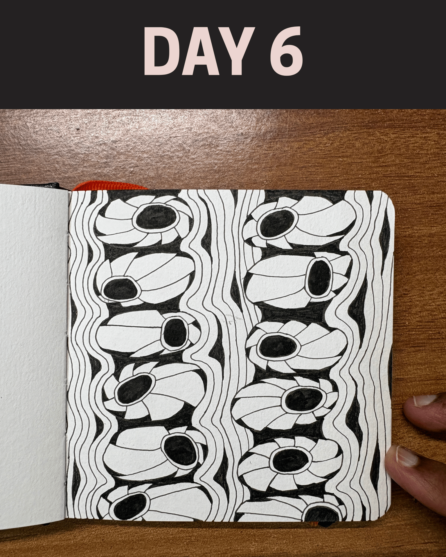 WIP - 45 Zentangle Designs - image 11 - student project