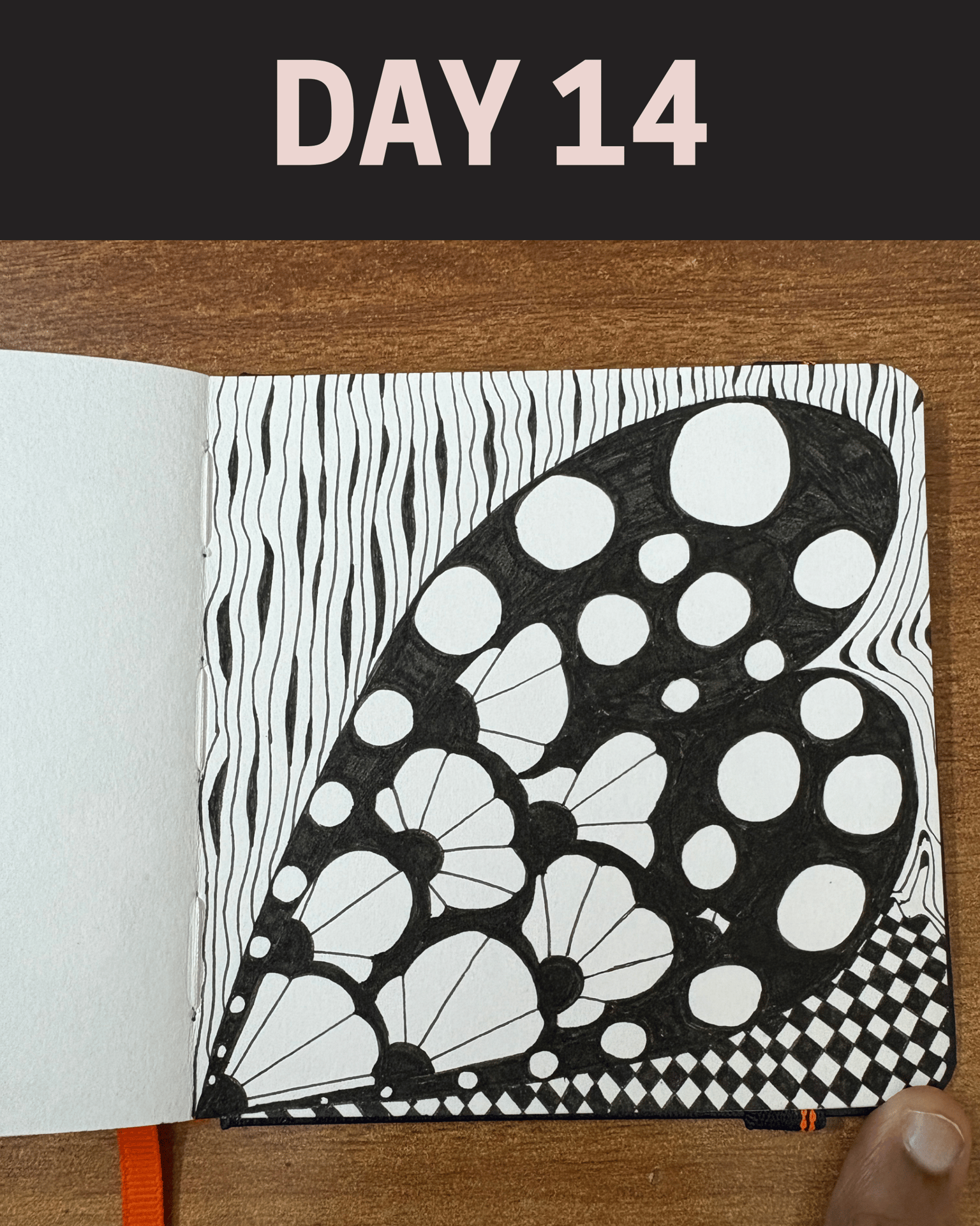 WIP - 45 Zentangle Designs - image 3 - student project