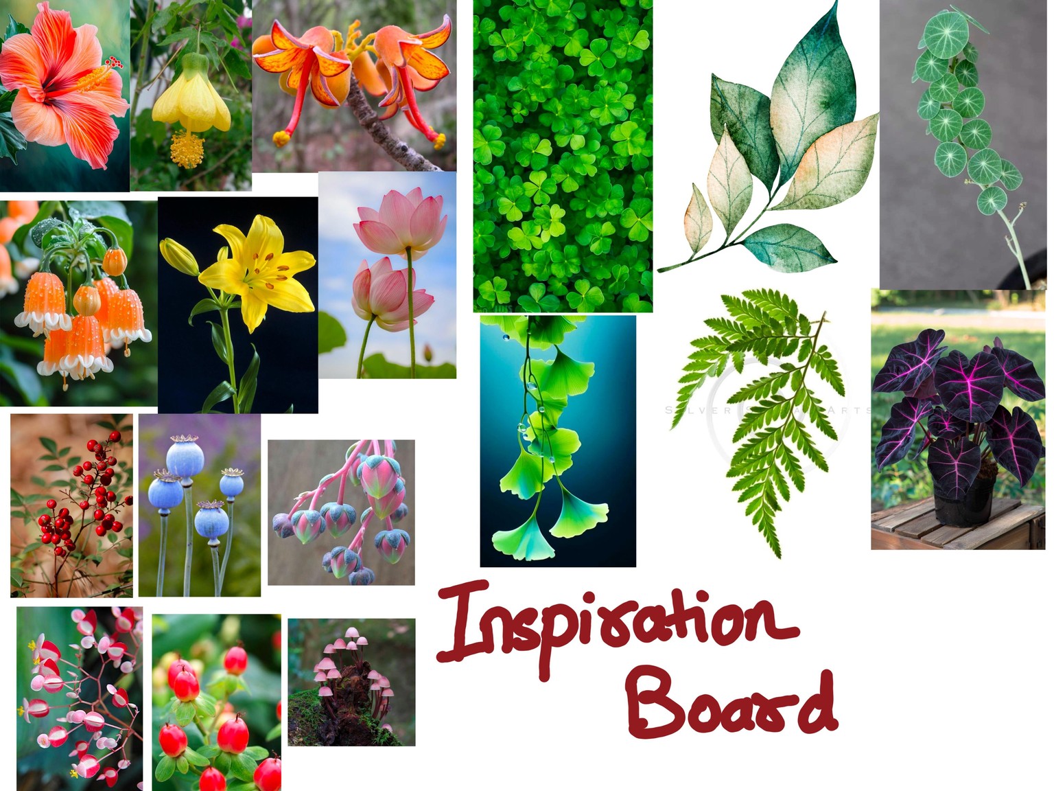 Colorful Floral Illustration_Procreate - image 1 - student project