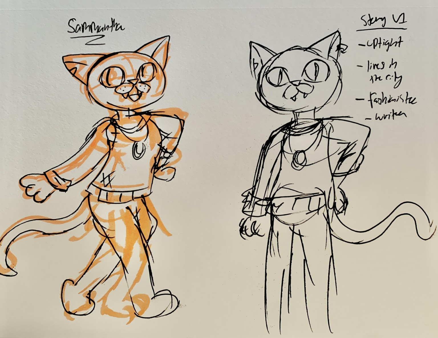 Catherine the Fashionista Feline - image 4 - student project