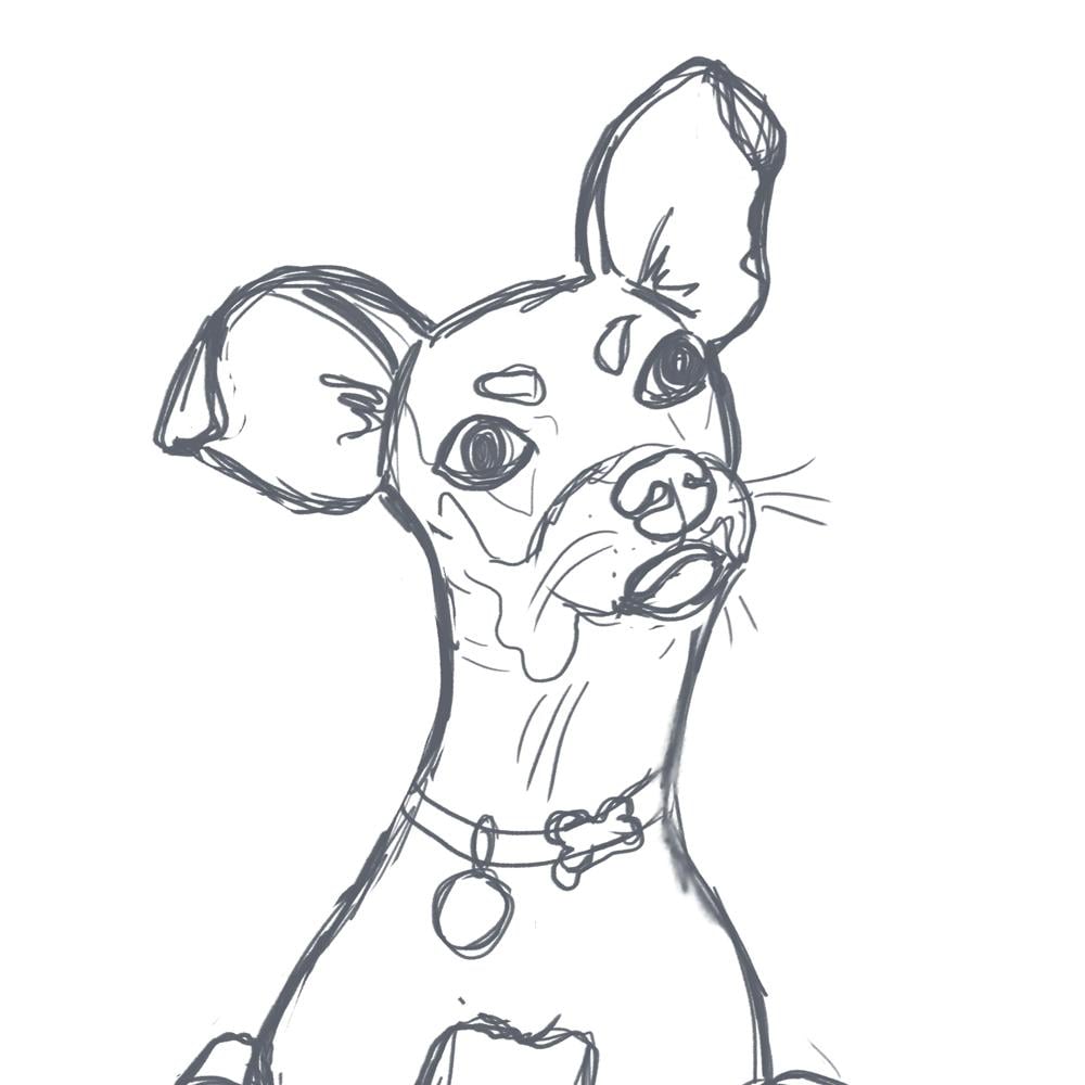 Carmel the rescue dog - image 2 - student project