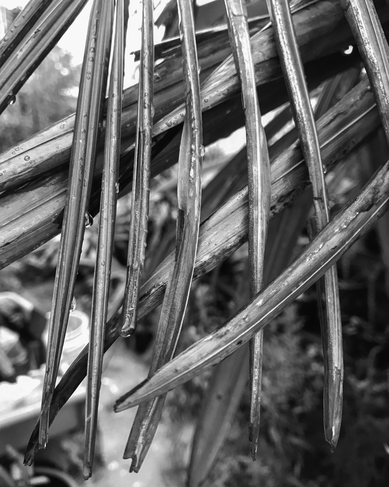 Lifestyle - image 4 - student project
