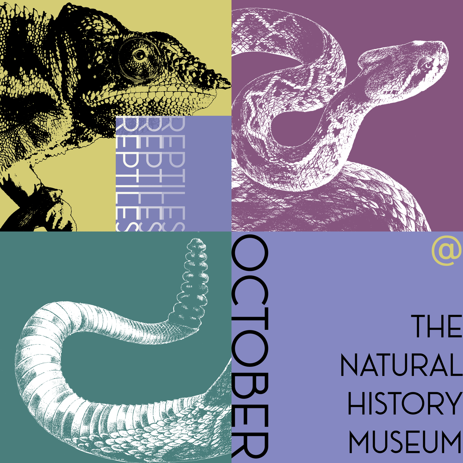 October @ The Natural History Museum: Reptiles - image 3 - student project
