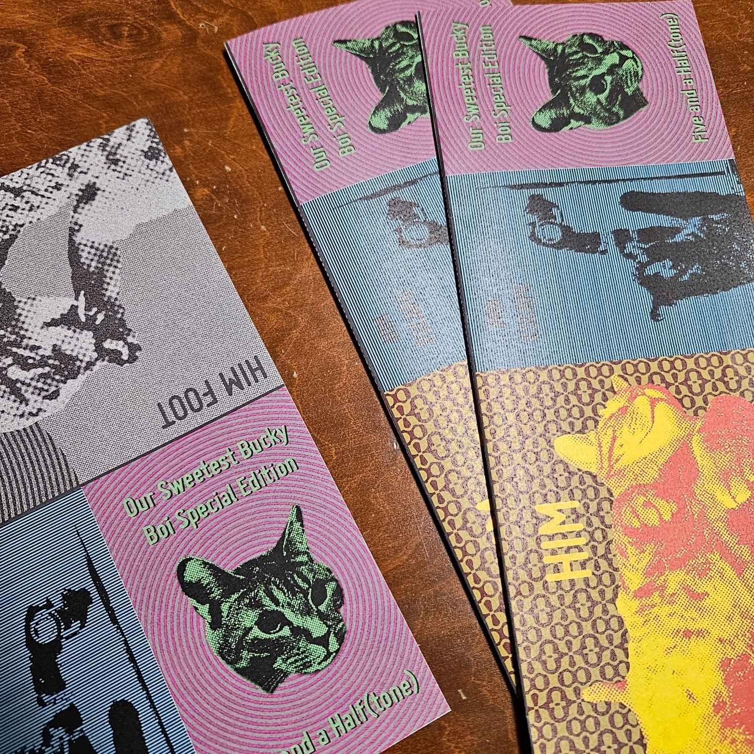 Our Sweetest Bucky Boi Zine - image 1 - student project