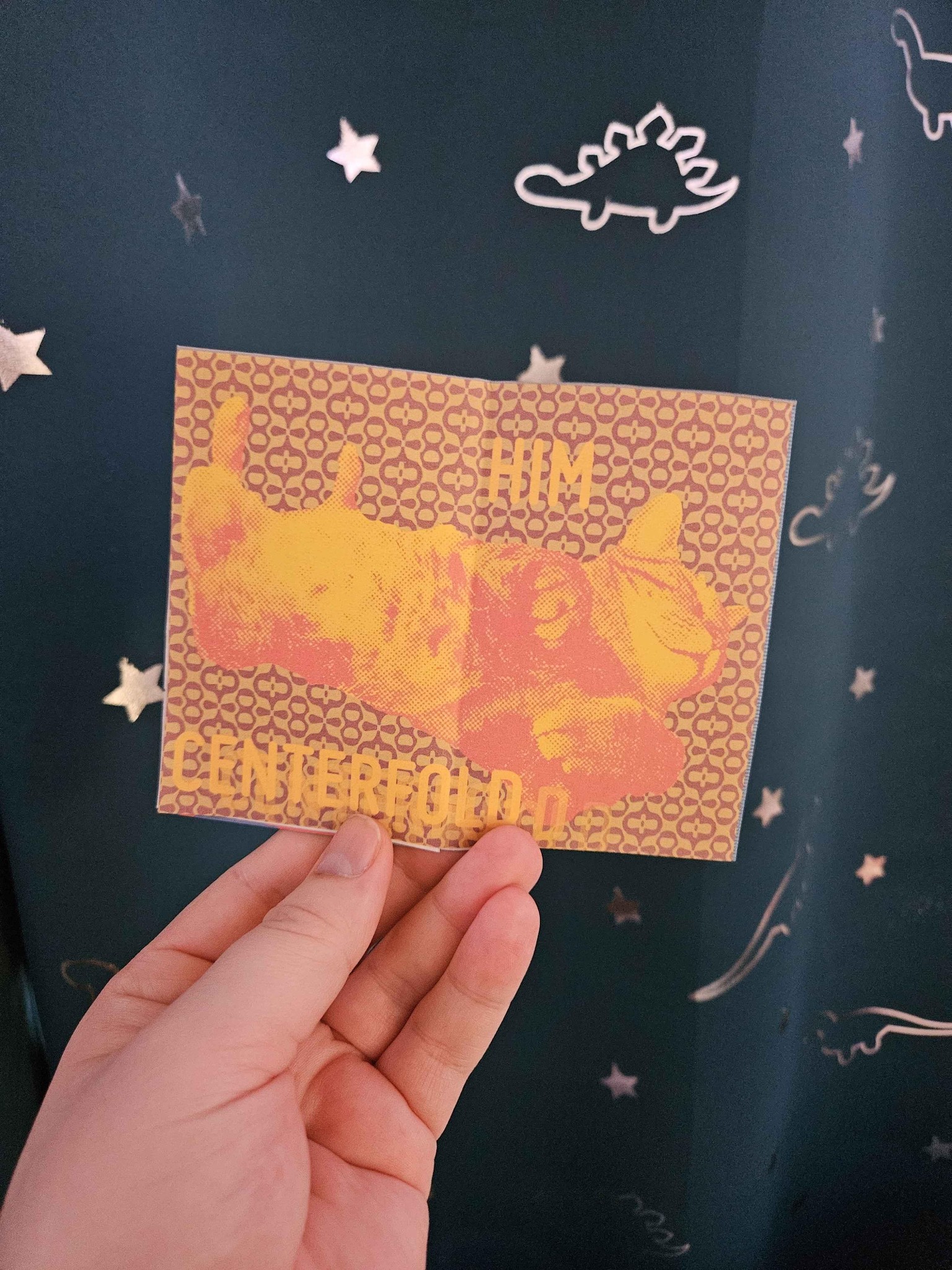Our Sweetest Bucky Boi Zine - image 3 - student project