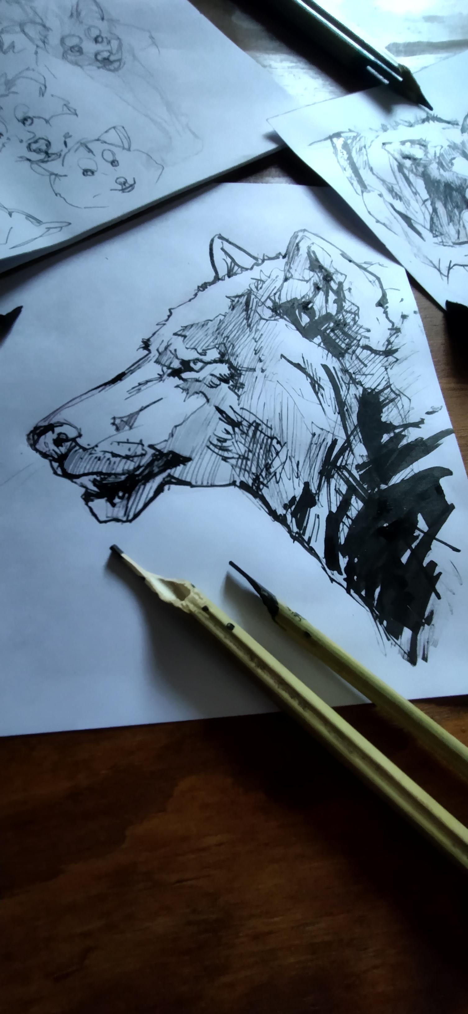 Bamboo Pens - image 1 - student project