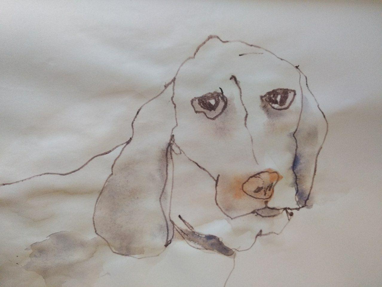 Drawing without fear - image 4 - student project