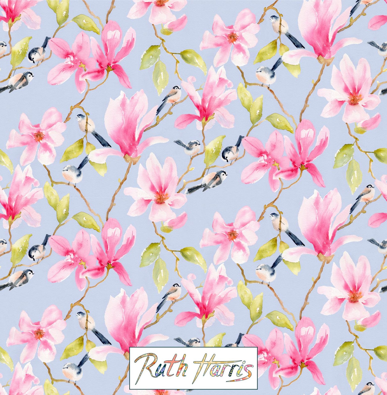 Magnolias and Long Tailed Tits - image 2 - student project