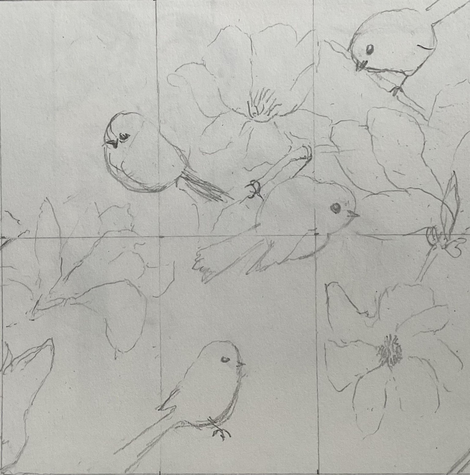 Magnolias - image 10 - student project