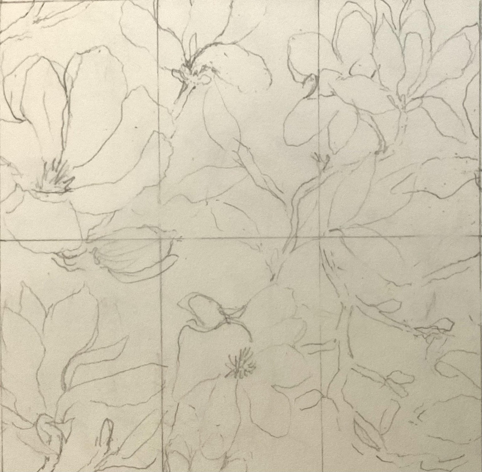 Magnolias - image 11 - student project
