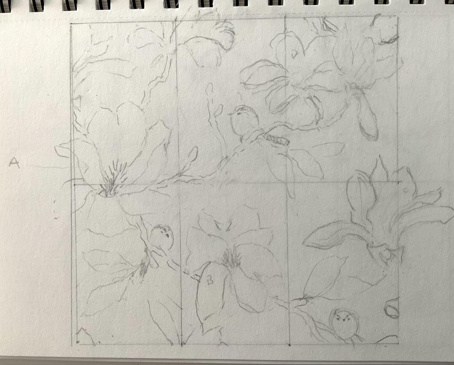 Magnolias - image 4 - student project